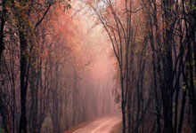 开云体育-9.42秒！人类速度极限再被粉碎——奥运会男子100米新纪录引爆全球科技革命