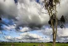 开云体育官网-河床主帅强调团队配合，迎战欧洲劲旅