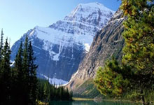 开云体育登录-重炮手崛起：安纳托利亚之拳震撼搏击界