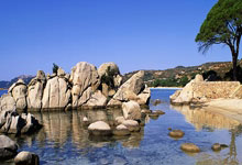 开云平台-西悉尼流浪者防守体系调整，力求守住关键战局