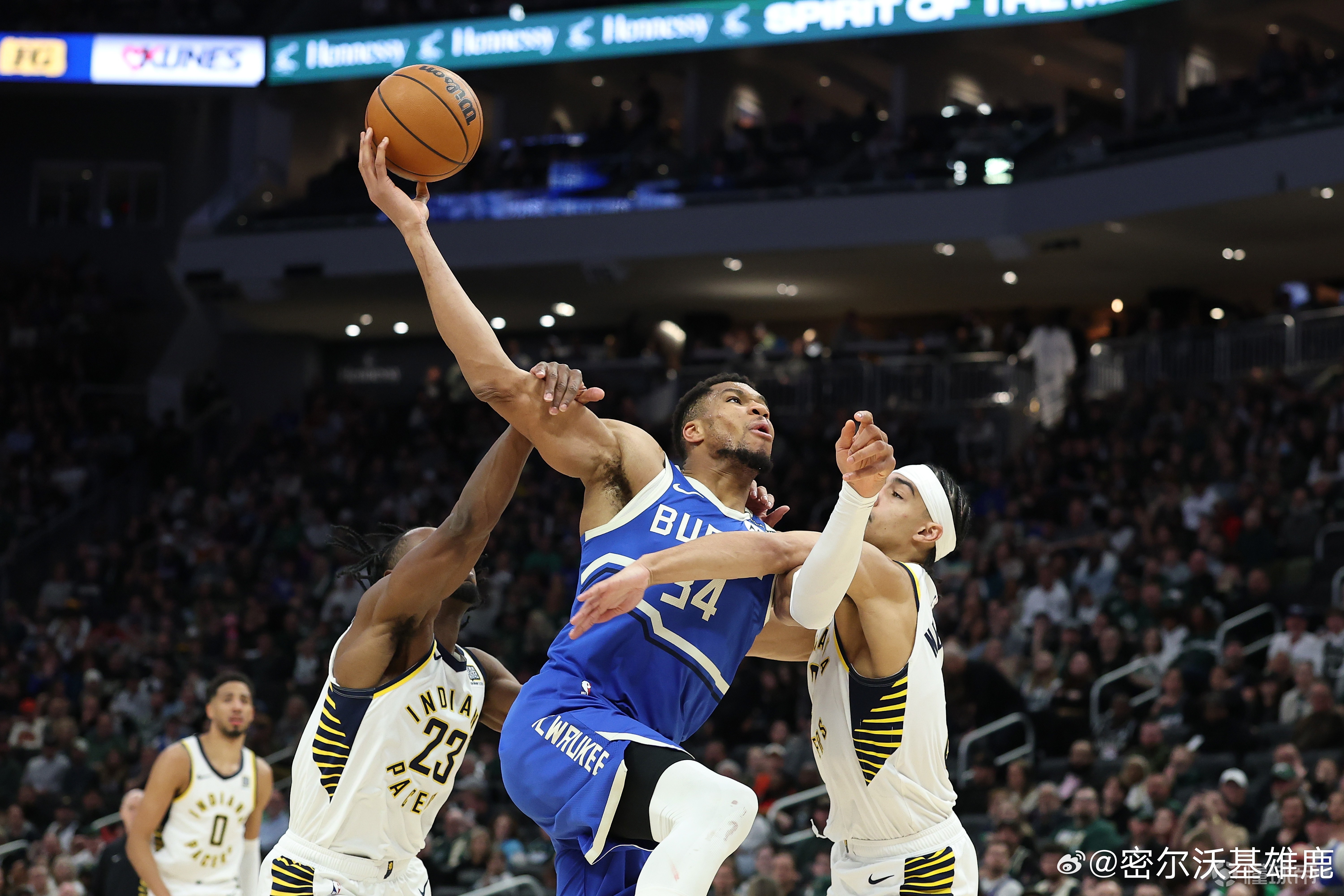 雄鹿主场大胜，季后赛形势一片大好的简单介绍