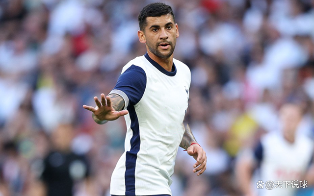 开云体育登录-纽卡斯尔客场不敌热刺，积分榜略有波动的简单介绍