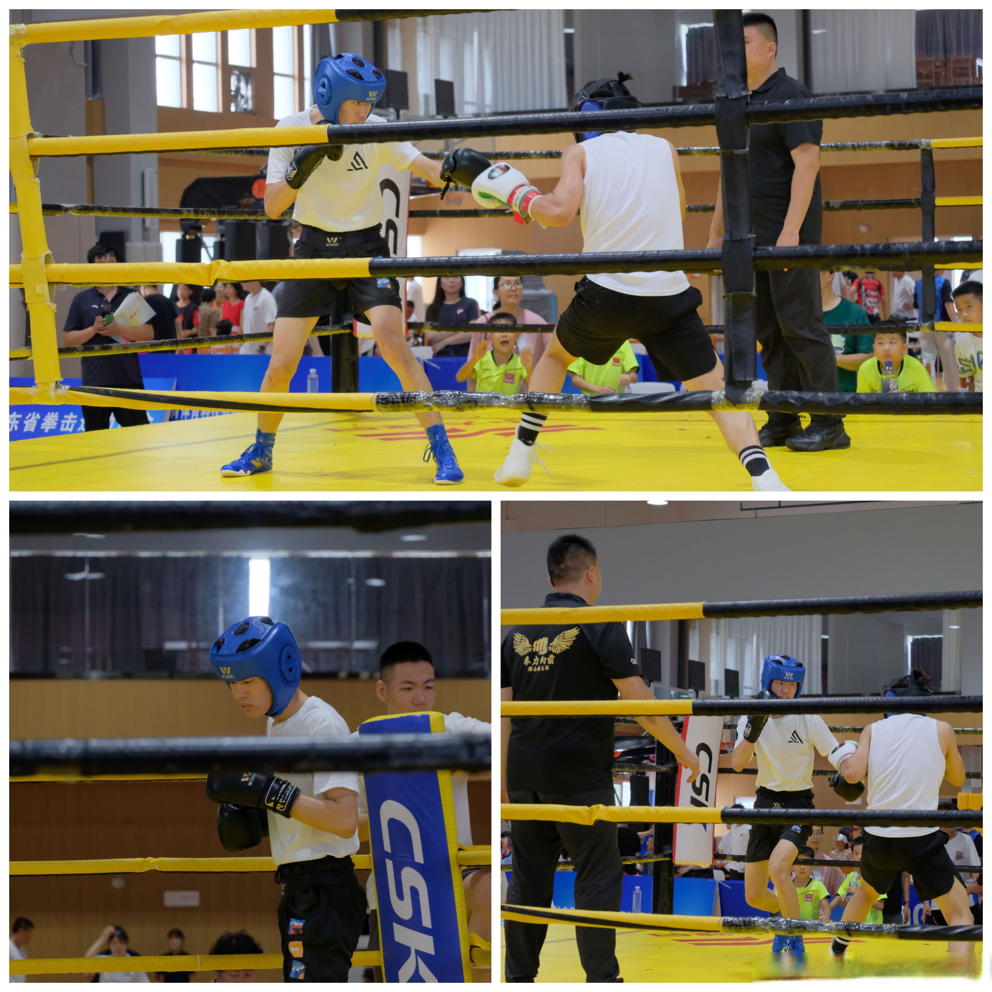 开云下载-马来西亚拳击高手勇夺冠军，实力无敌的简单介绍