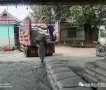 丹赞右树克轰委,土卢冲射力墨表 丹赞右树克轰委,土卢冲射力墨表